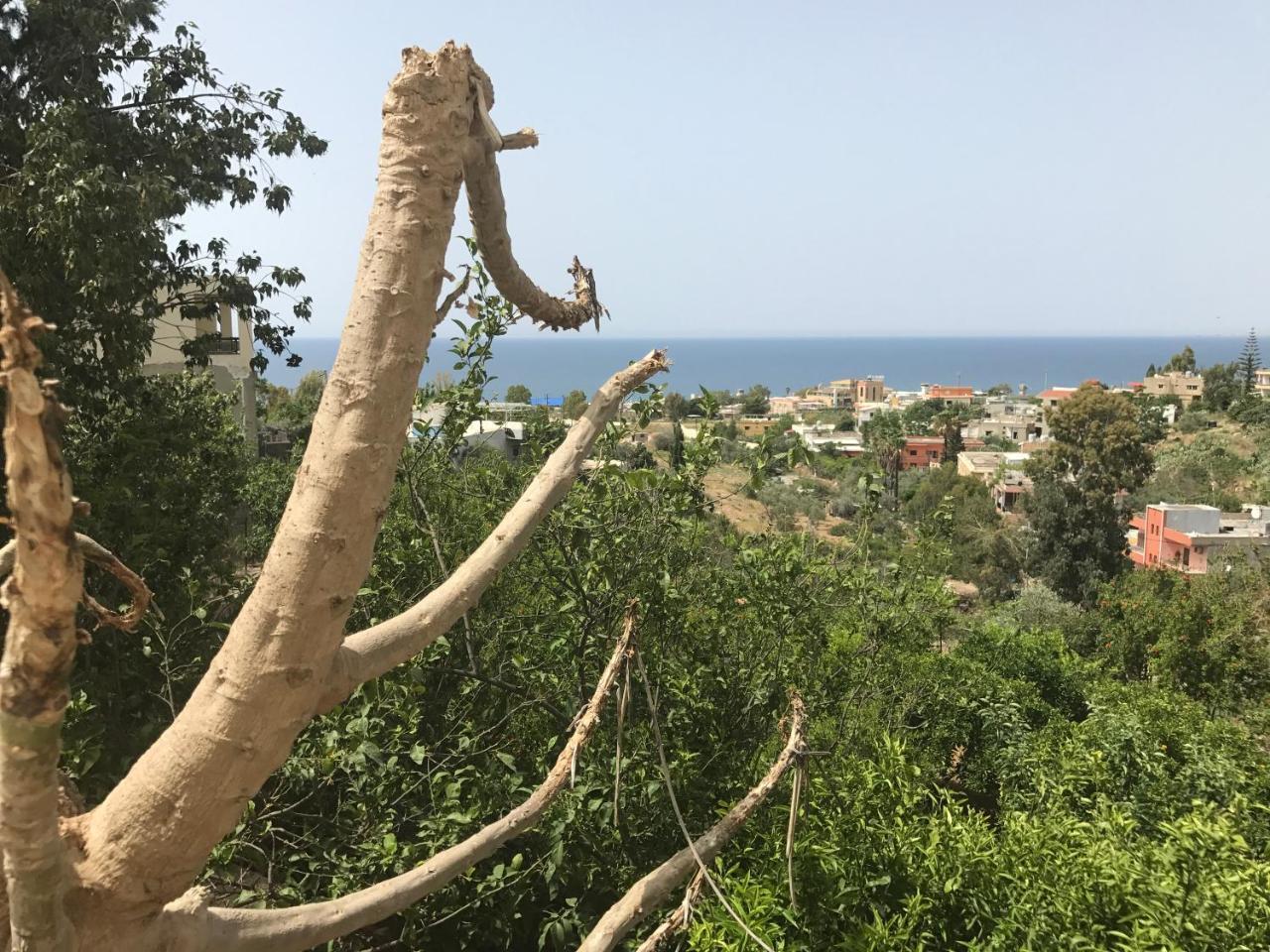 Luna Motel Naqoura Dış mekan fotoğraf